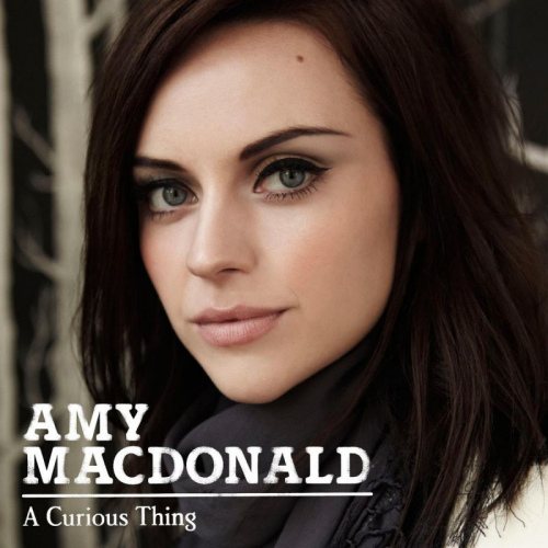 MACDONALD, AMY - A CURIOUS THINGMACDONALD, AMY - A CURIOUS THING.jpg